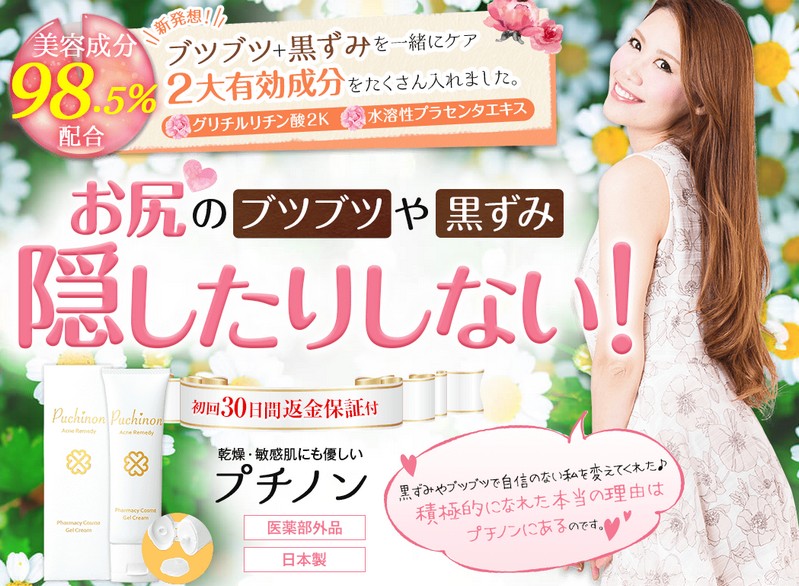 Puchinon�i�v�`�m���j��܎t���J���������K�j�L�r�A�����݁A����ݐ�p�N���[�����T�C�g